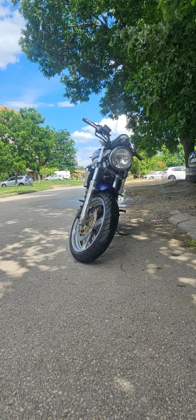     Suzuki SV
