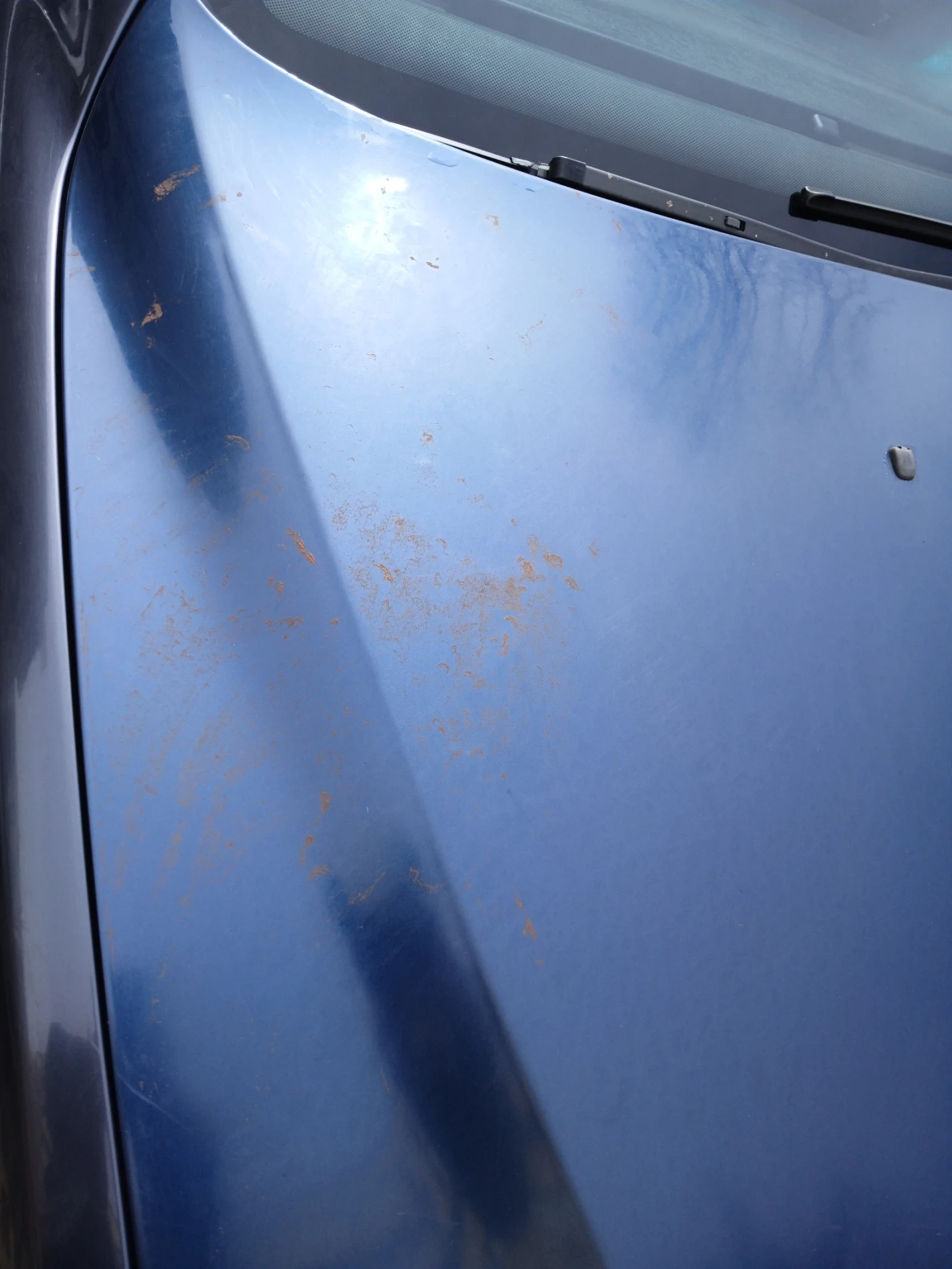 BMW 525, снимка 13 - Автомобили и джипове - 54069792