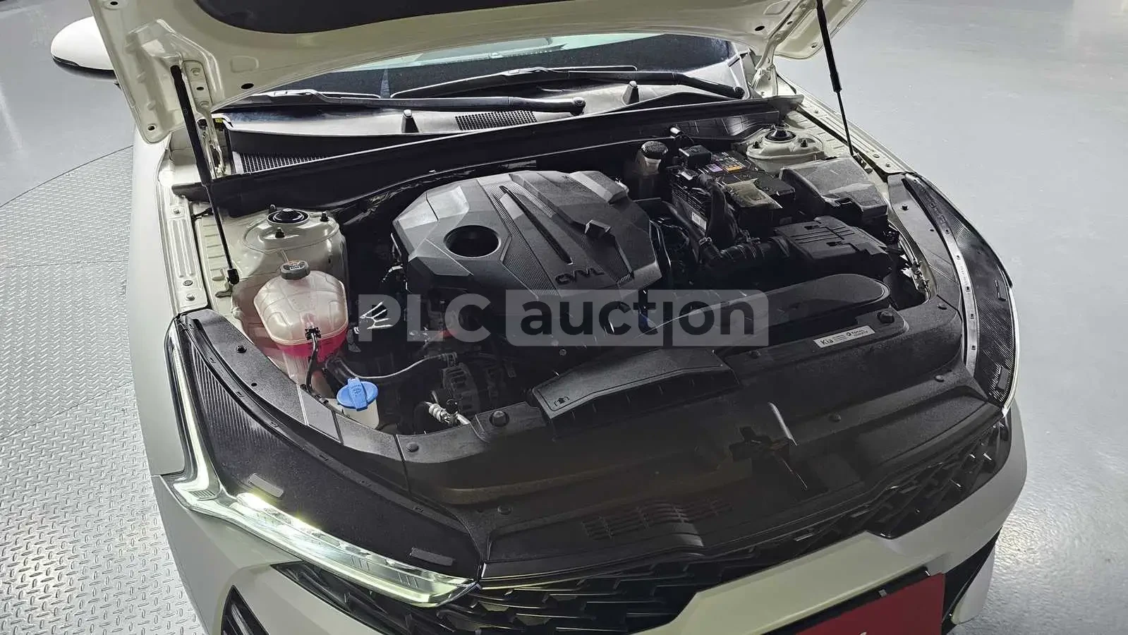 Kia K5 TRANDY SPECIAL  | Mobile.bg � ����������� 5