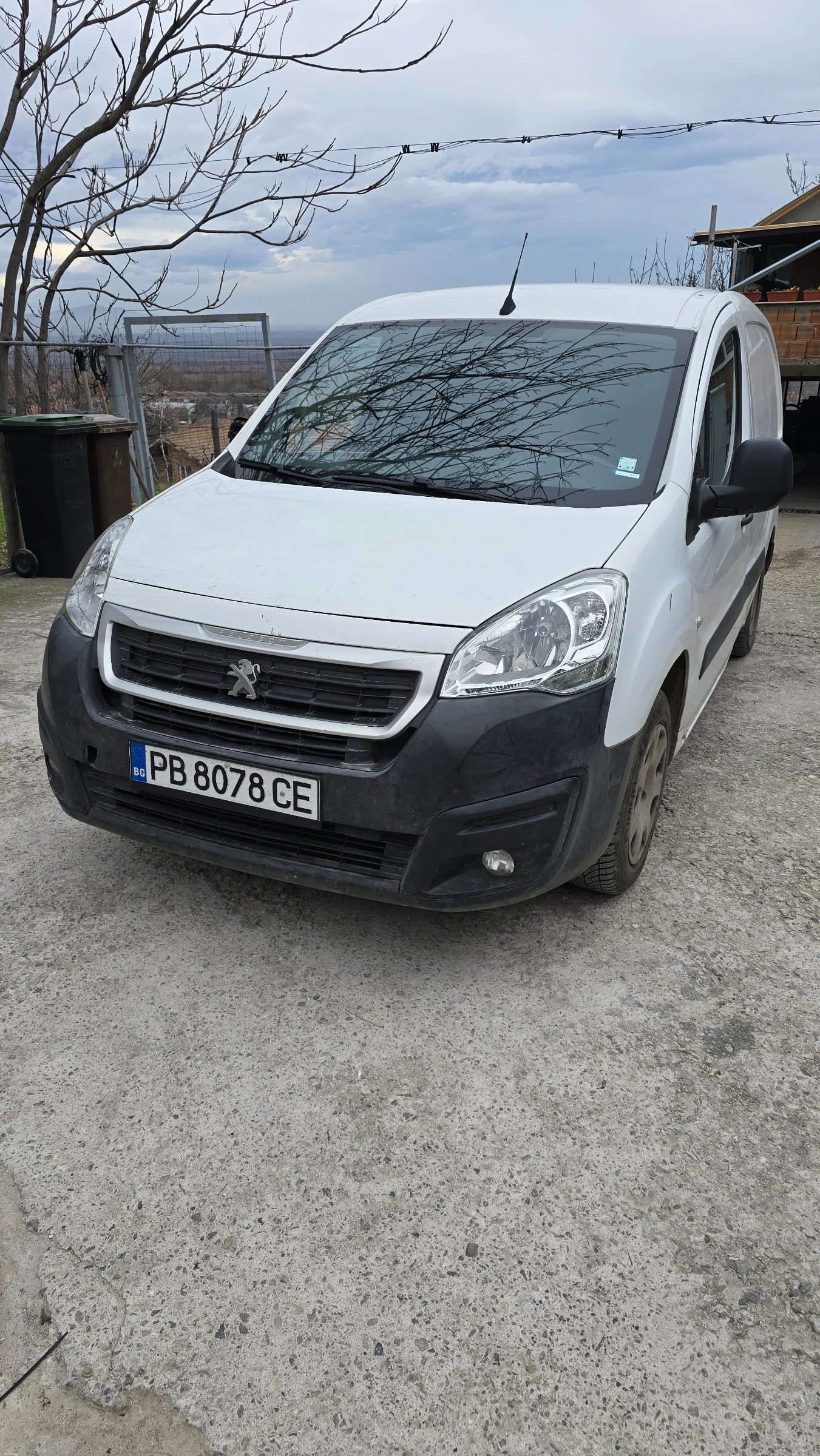 Peugeot Partner, снимка 1