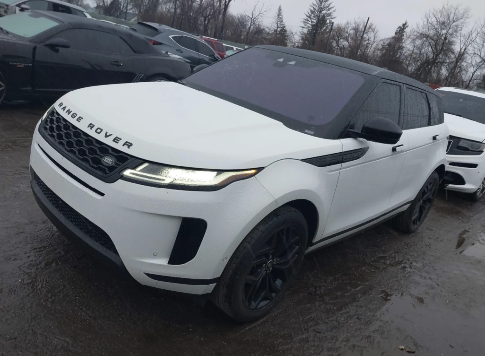 Land Rover Range Rover Sport Evoque SE - изображение 2