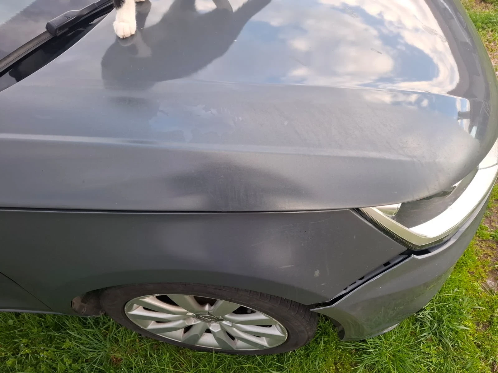 Audi A1 | Mobile.bg � ����������� 12