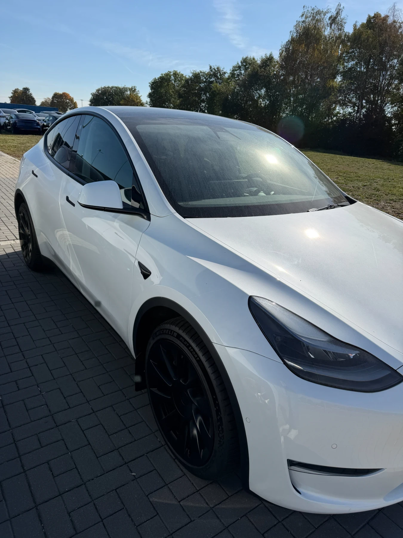 Tesla Model Y Long Range AWD Германия