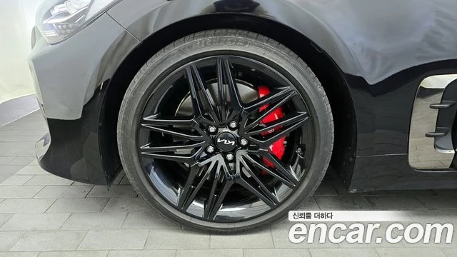 Kia Stinger Meister 2.5 | Цена с всичко до България, снимка 14 - Автомобили и джипове - 54367544