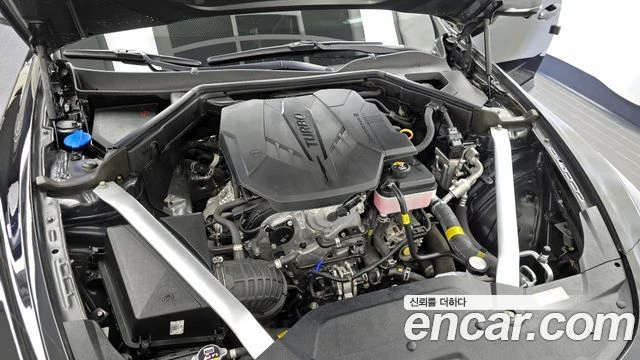 Kia Stinger Meister 2.5 | Цена с всичко до България, снимка 15 - Автомобили и джипове - 54367544