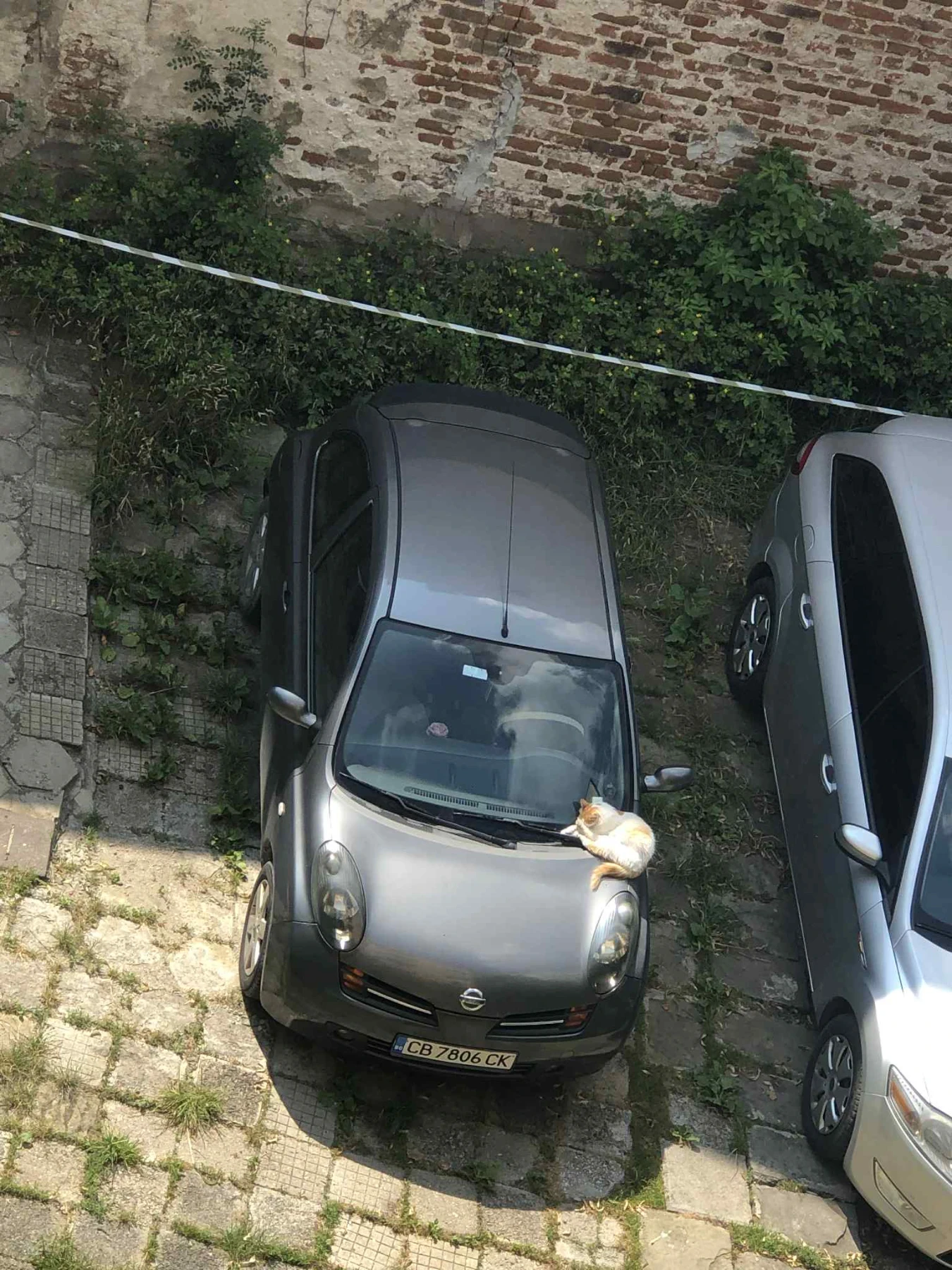 Nissan Micra | Mobile.bg   14