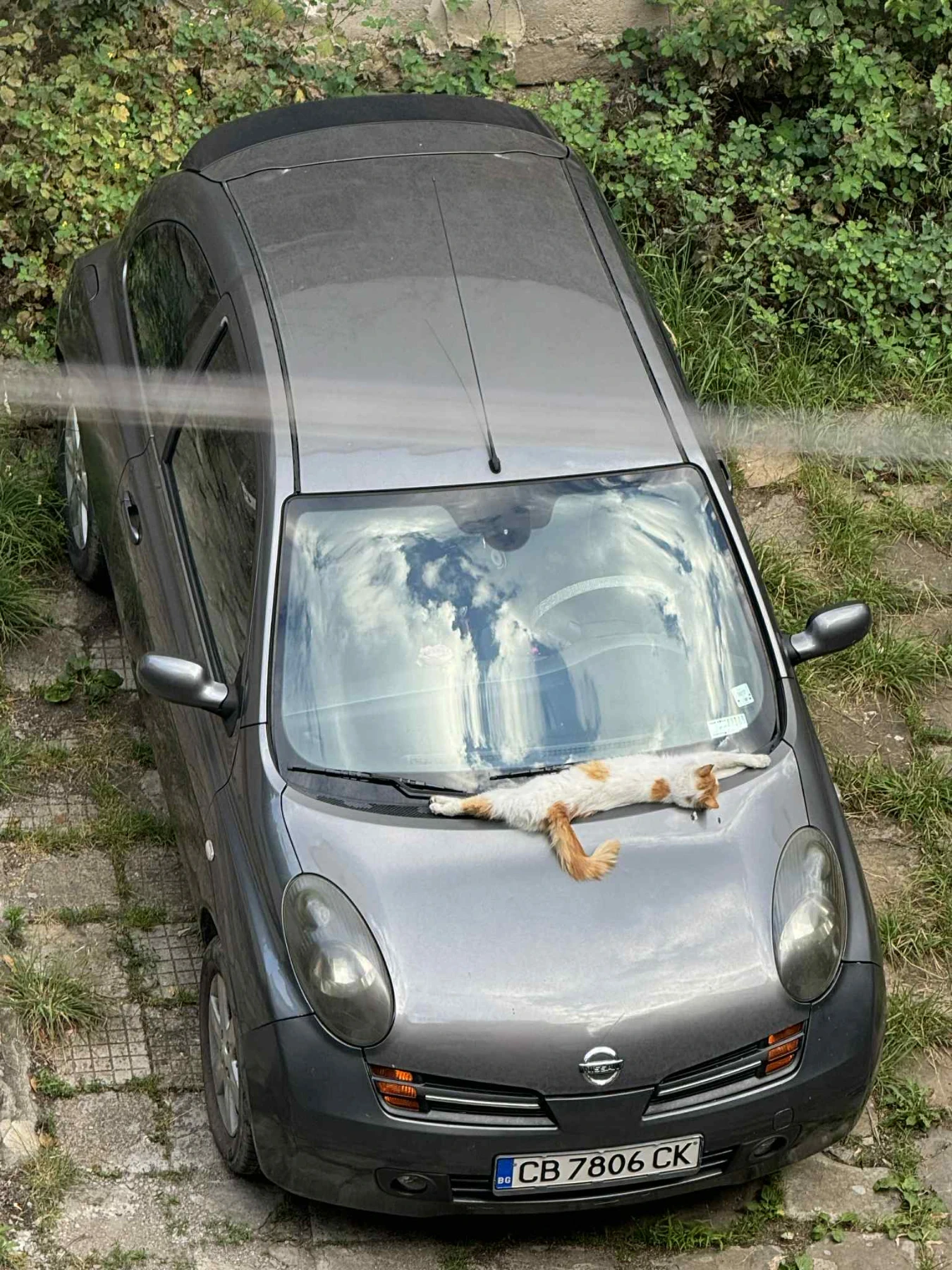 Nissan Micra | Mobile.bg   13