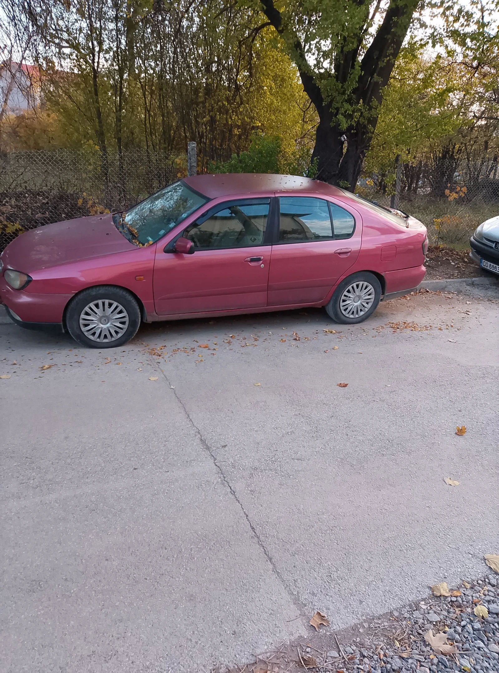 Nissan Primera 2.0d - изображение 2