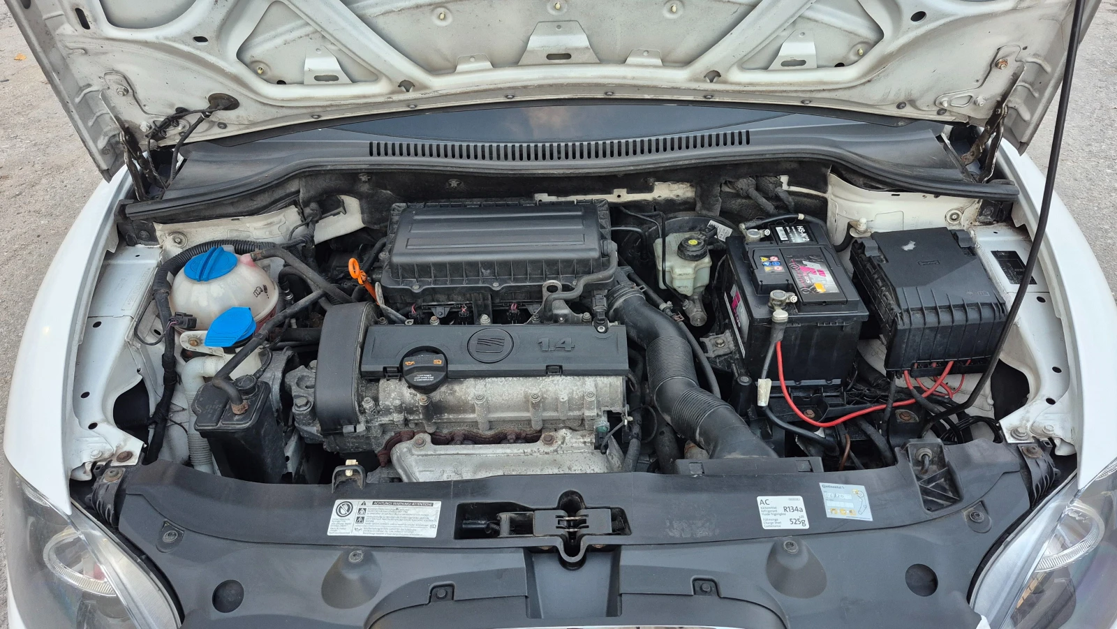 Seat Leon 1.4I 86 -   | Mobile.bg   17