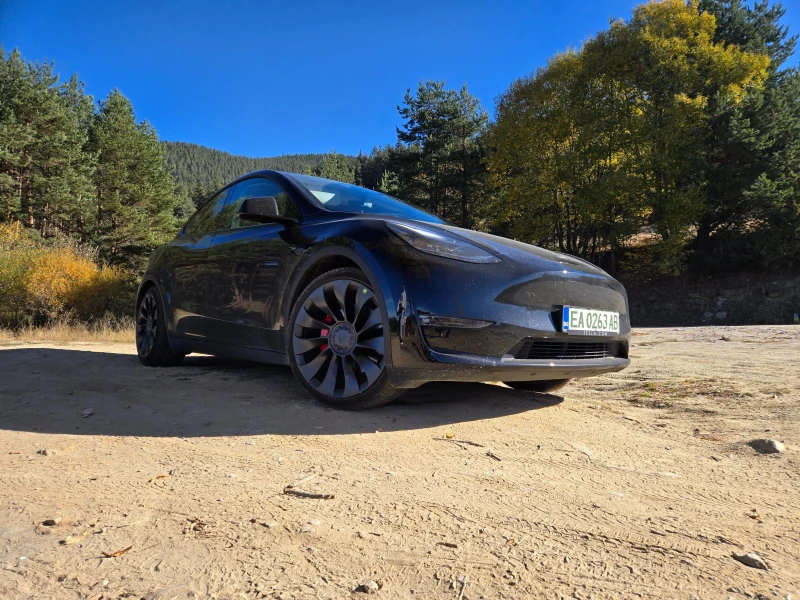 Tesla Model Y Performance, снимка 11 - Автомобили и джипове - 52839757