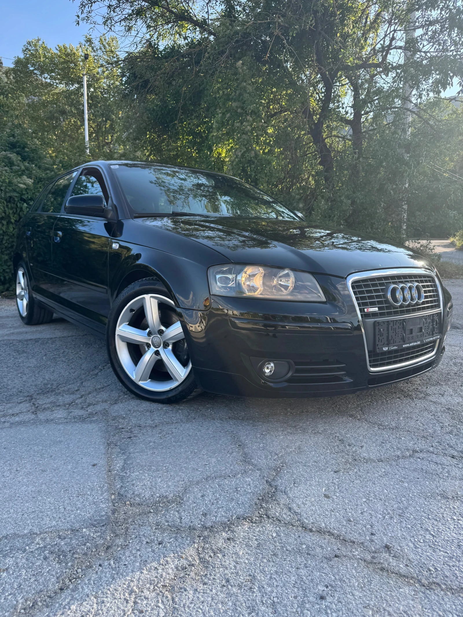 Audi A3 2.0YDI/ 170HP Quattro, снимка 3 - Автомобили и джипове - 55509866