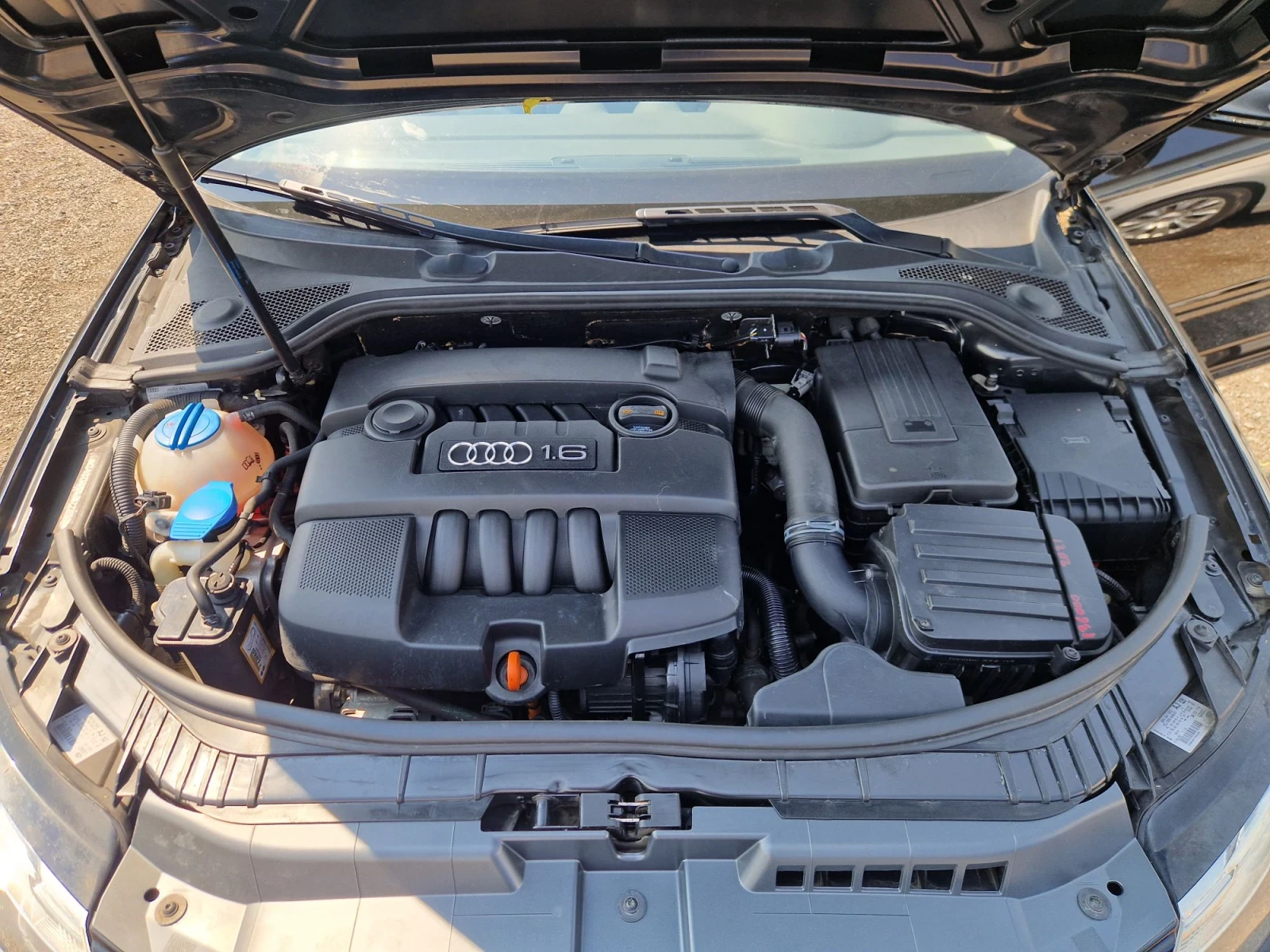 Audi A3 1.6i  102HP. CUPE  ITALIA, снимка 15 - Автомобили и джипове - 55786172