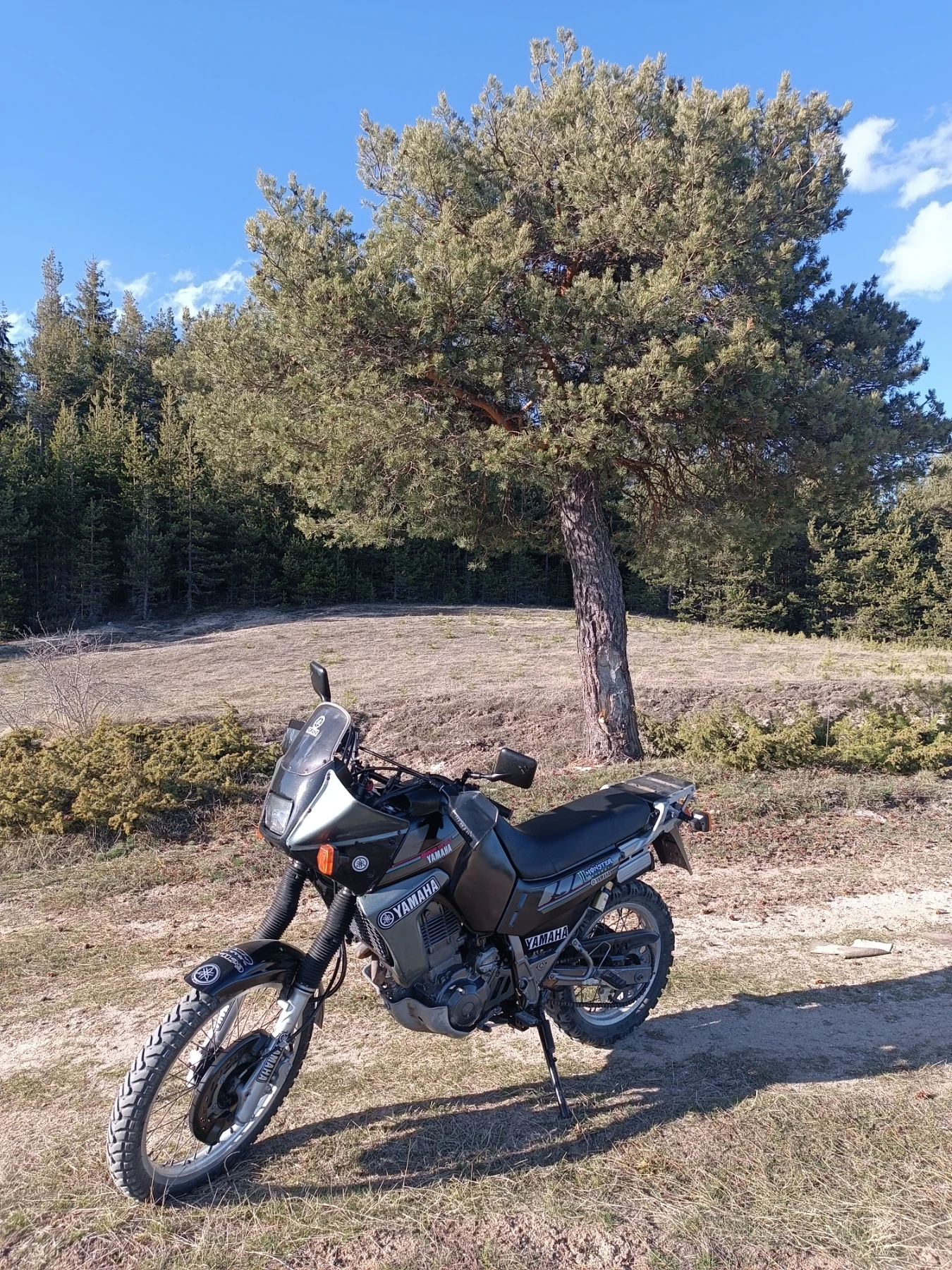 Yamaha Xtz | Mobile.bg � ����������� 5