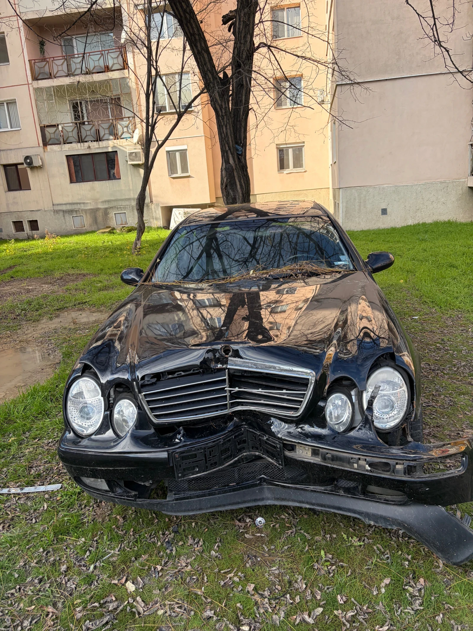 Mercedes-Benz CLK  - изображение 2