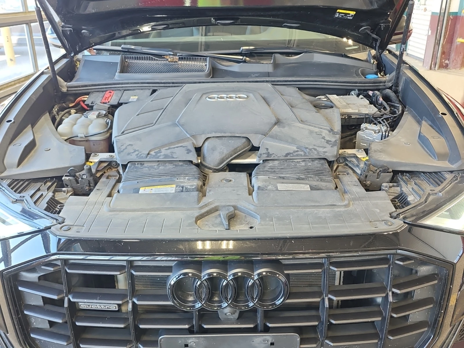 Audi Q8 55 Tfsi Quattro Progressiv / CARFAX / 2 ����� | Mobile.bg � ����������� 14