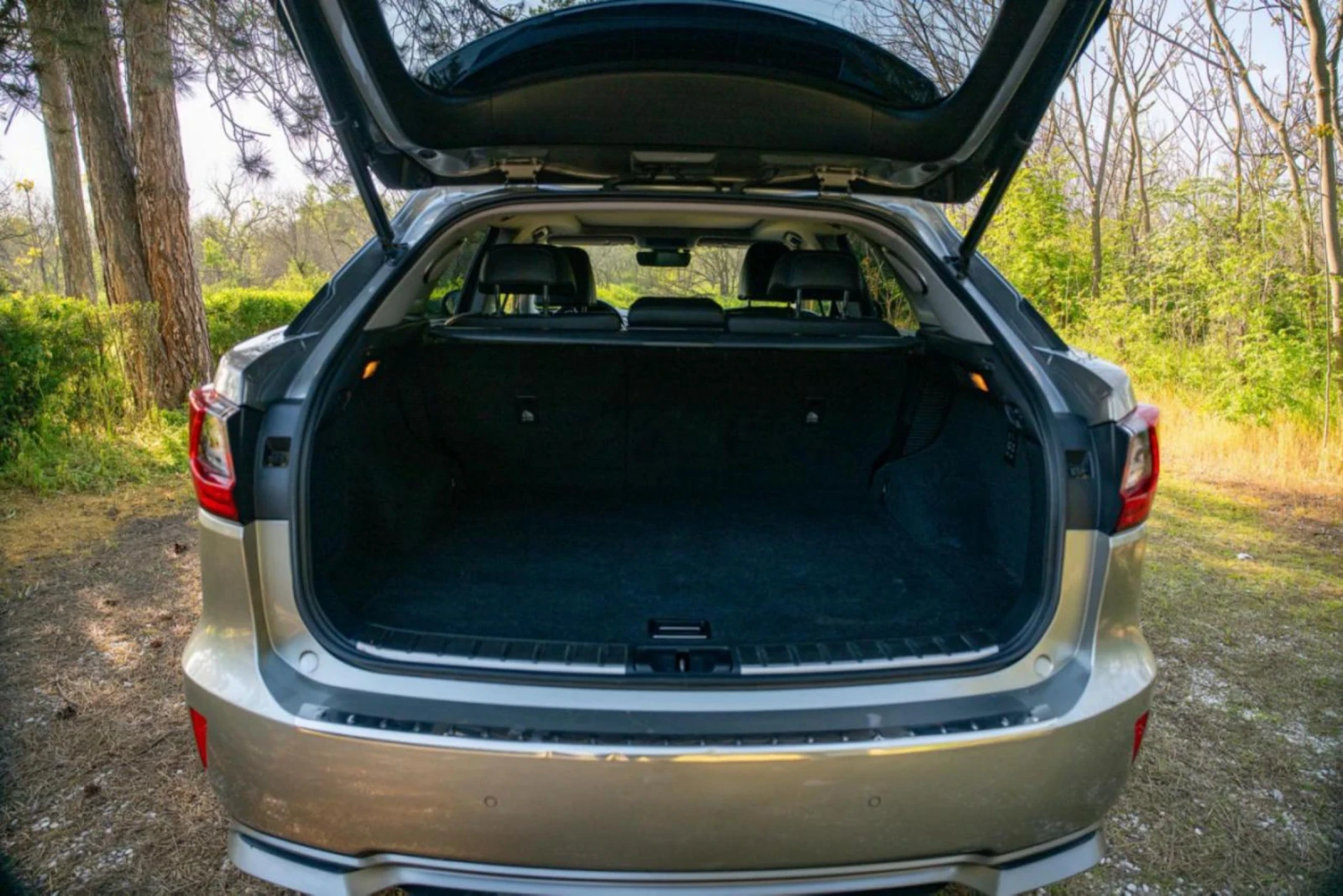 Lexus RX 450h, снимка 5 - Автомобили и джипове - 54372635