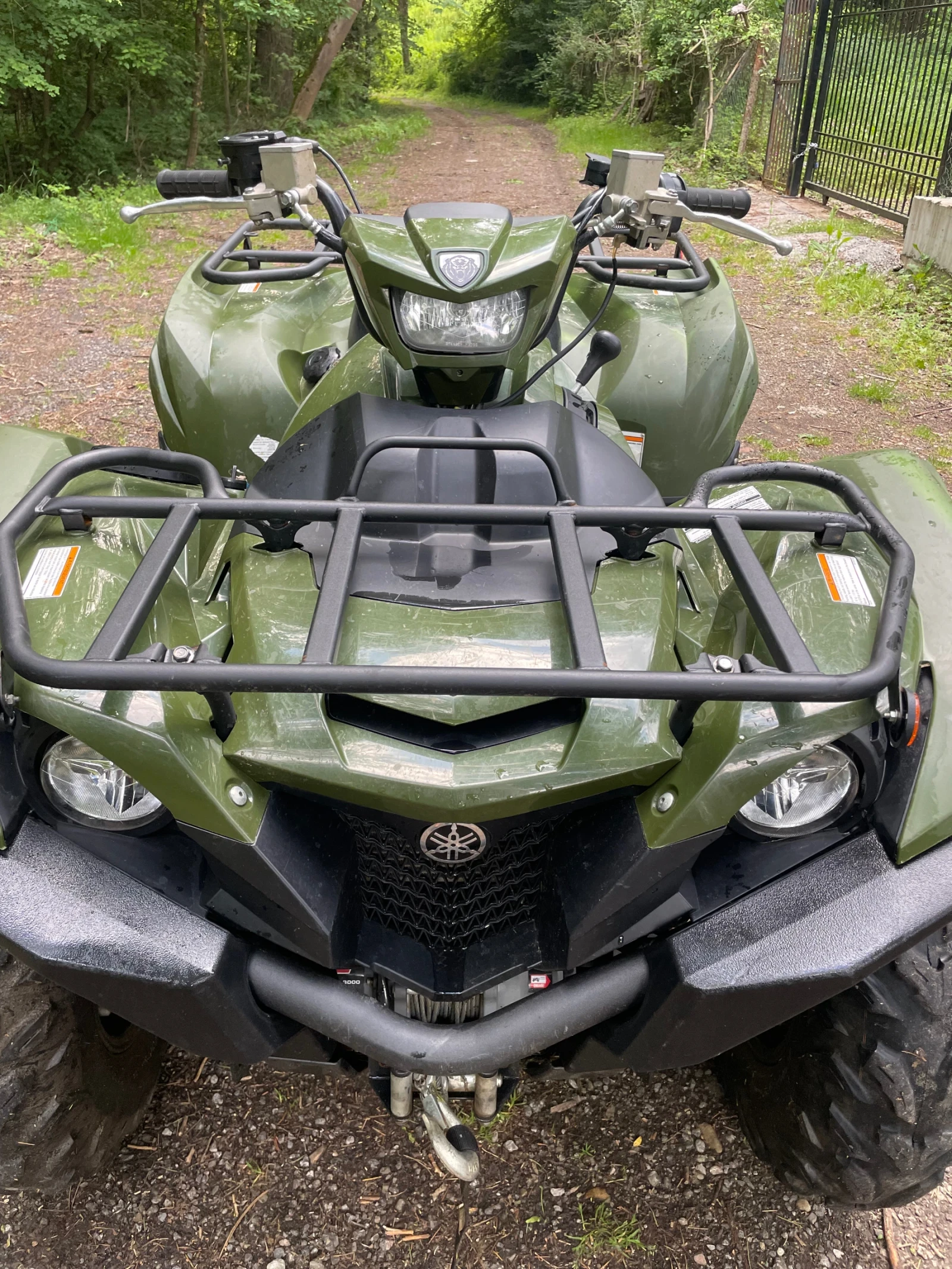 Yamaha Grizzly  - изображение 2
