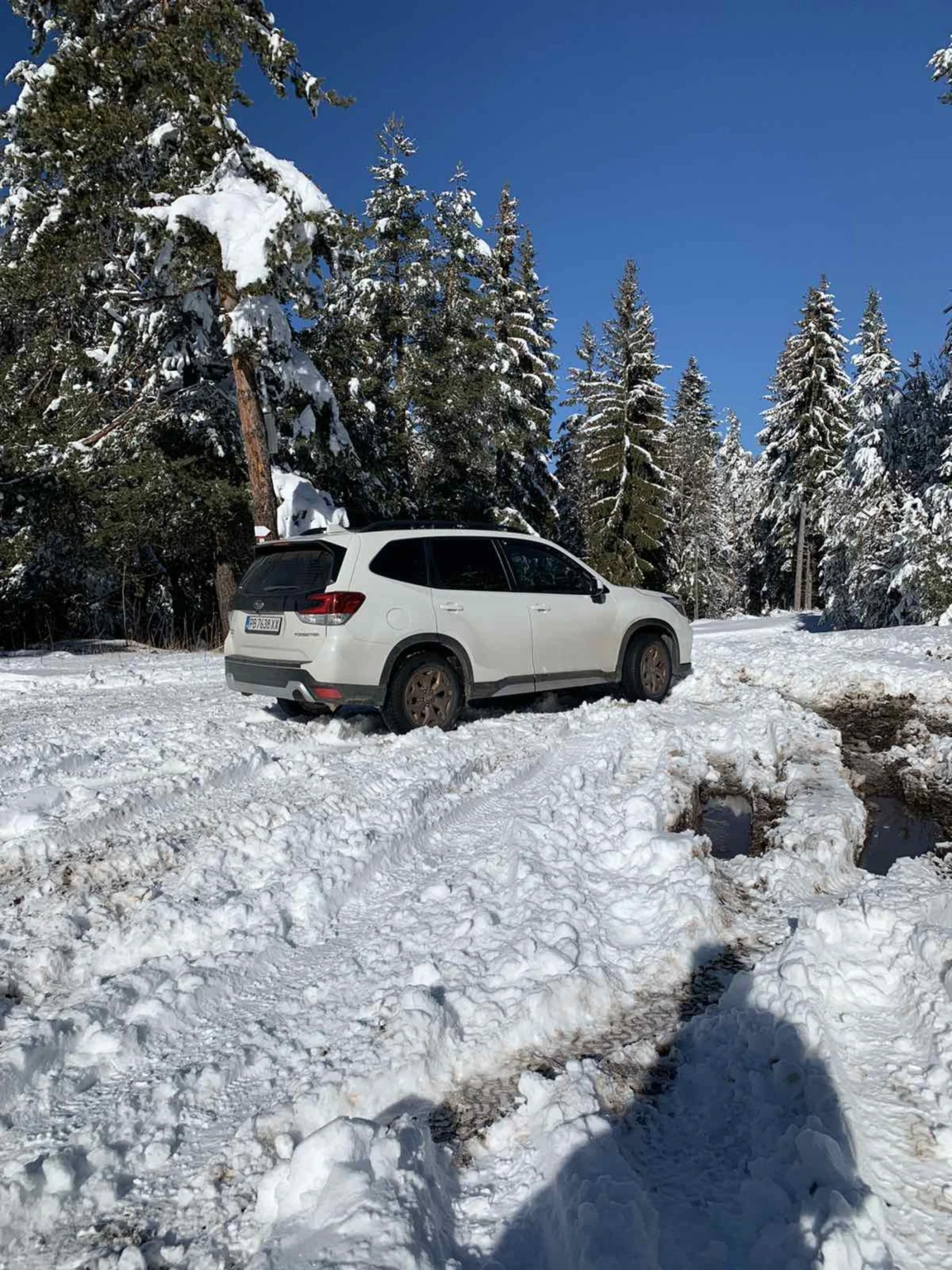 Subaru Forester | Mobile.bg   7