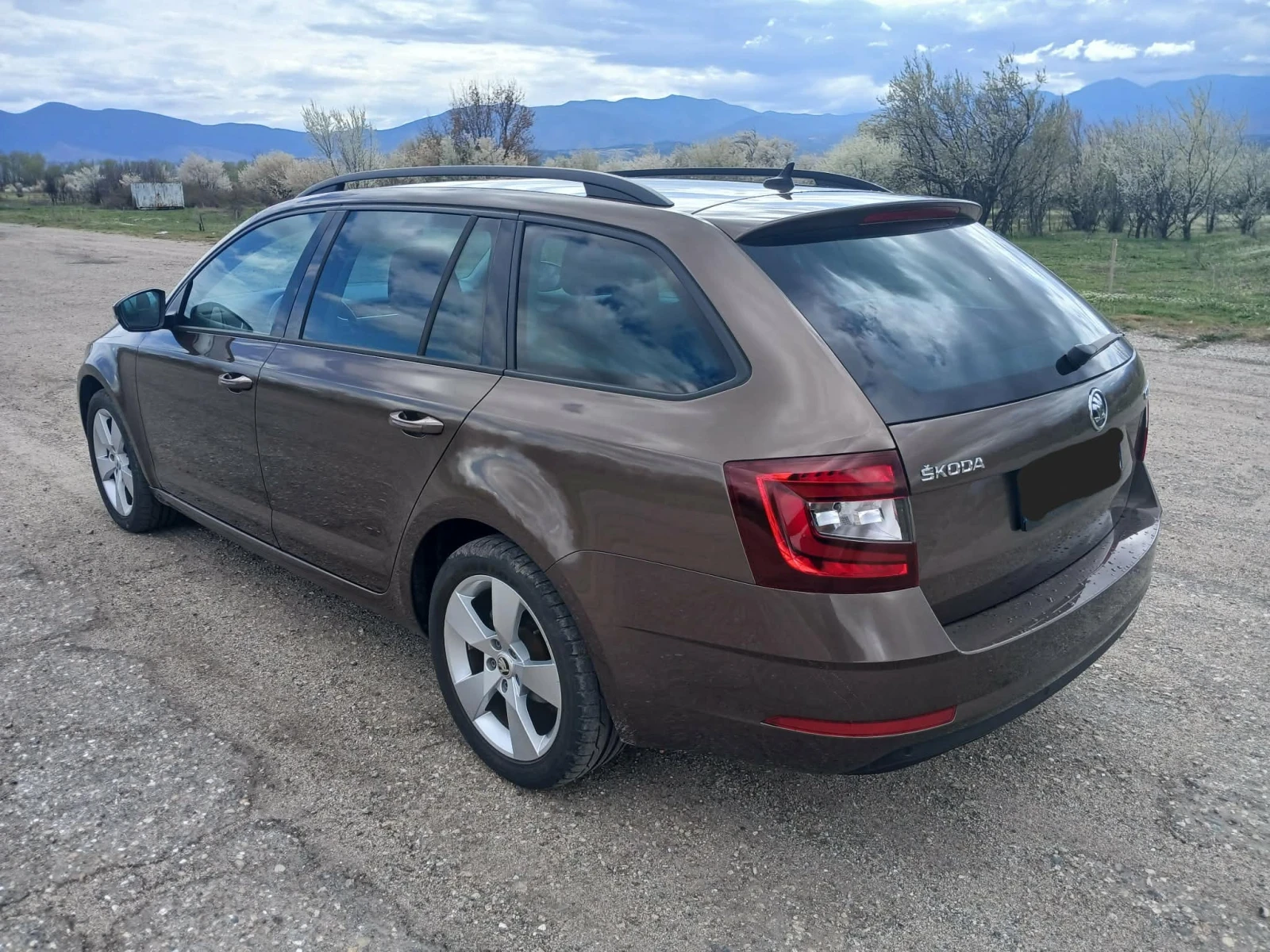 Skoda Octavia, снимка 3 - Автомобили и джипове - 54755054