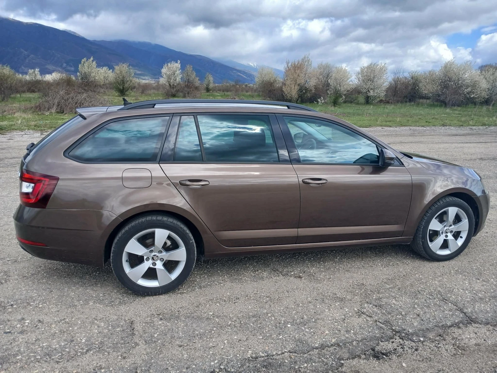 Skoda Octavia, снимка 5 - Автомобили и джипове - 54755054
