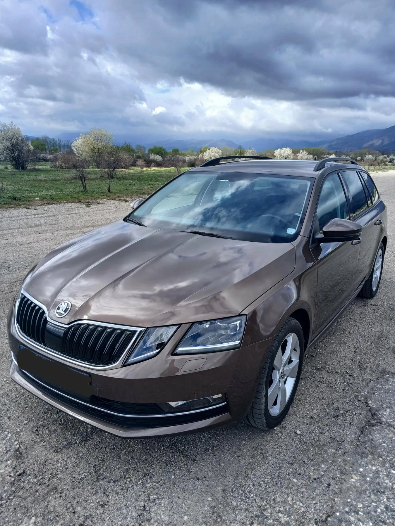 Skoda Octavia, снимка 2 - Автомобили и джипове - 54755054