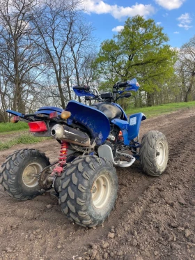 Shineray XY 250, снимка 3