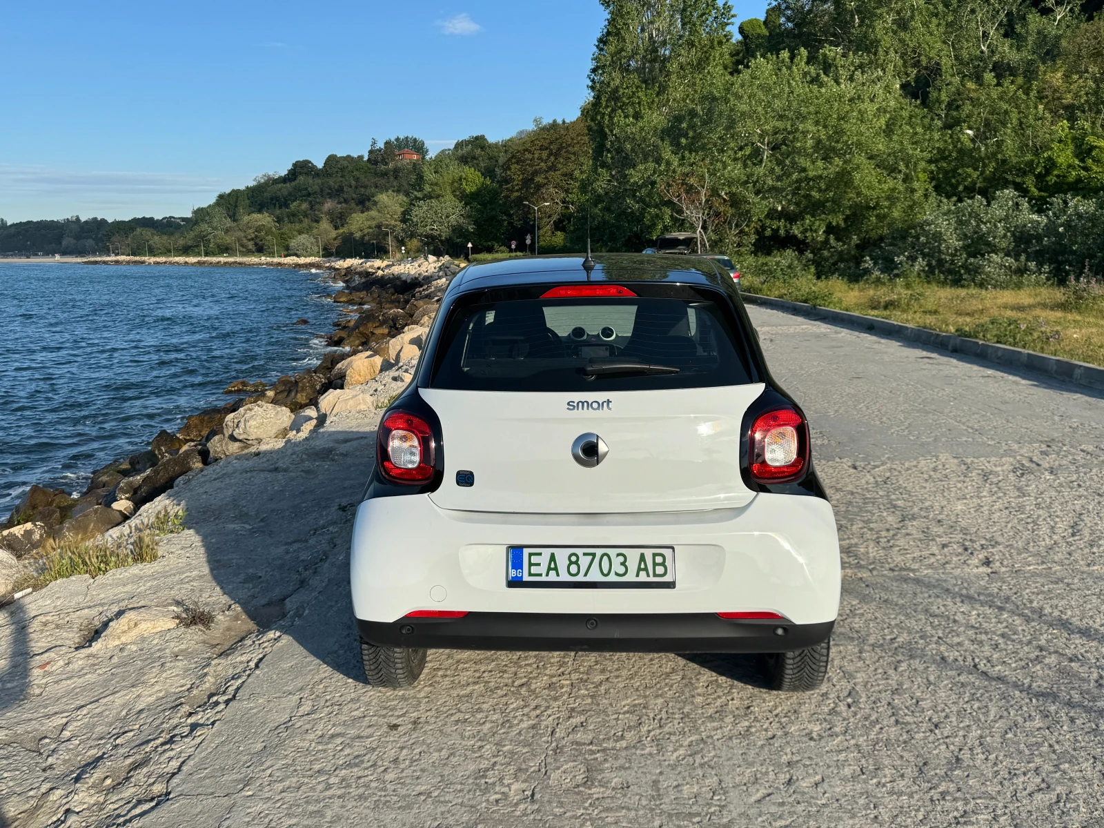 Smart Forfour EQ18kw - изображение 4