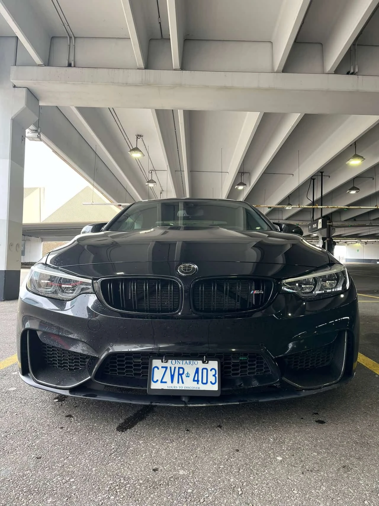 BMW M4 * Competition Cabrio * CARFAX * HARMAN KARDON, снимка 6 - Автомобили и джипове - 53978266