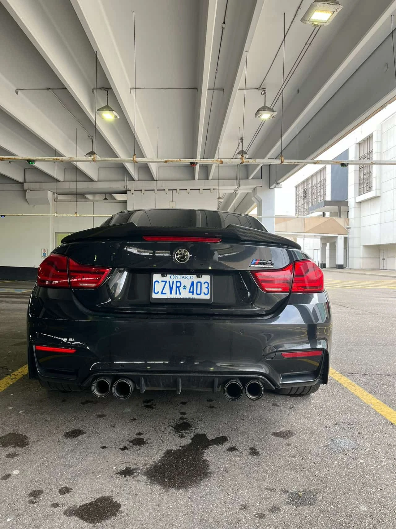 BMW M4 * Competition Cabrio * CARFAX * HARMAN KARDON, снимка 4 - Автомобили и джипове - 53978266