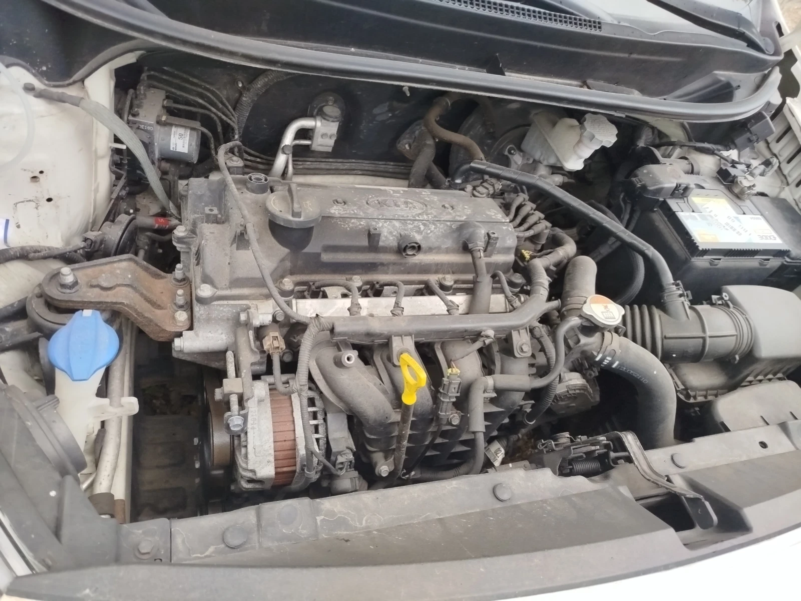 Kia Rio, снимка 4 - Автомобили и джипове - 54750564