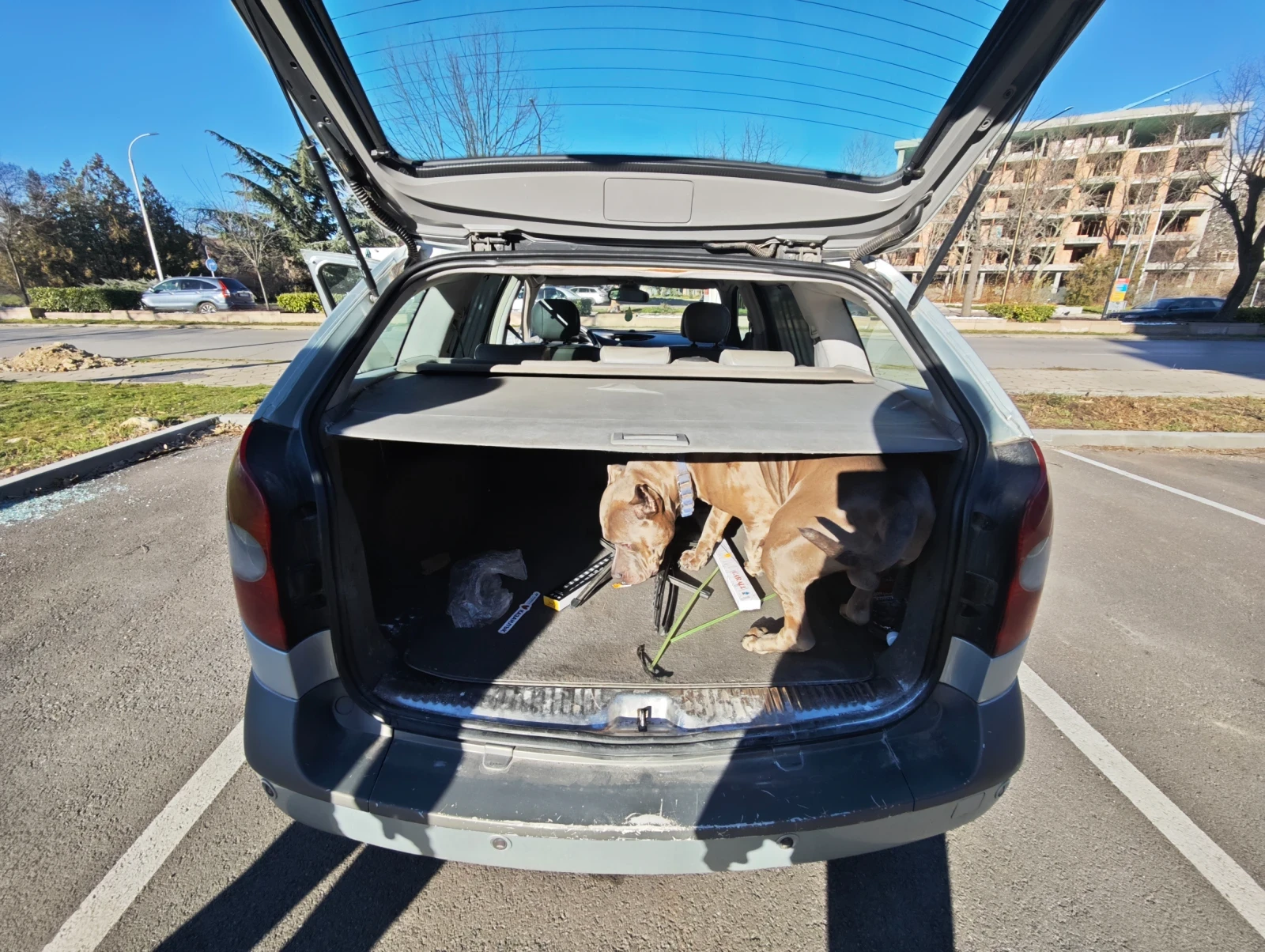 Renault Laguna | Mobile.bg � ����������� 8