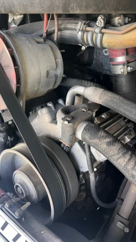     Man Lion S Classic  ! , , EEV ZF