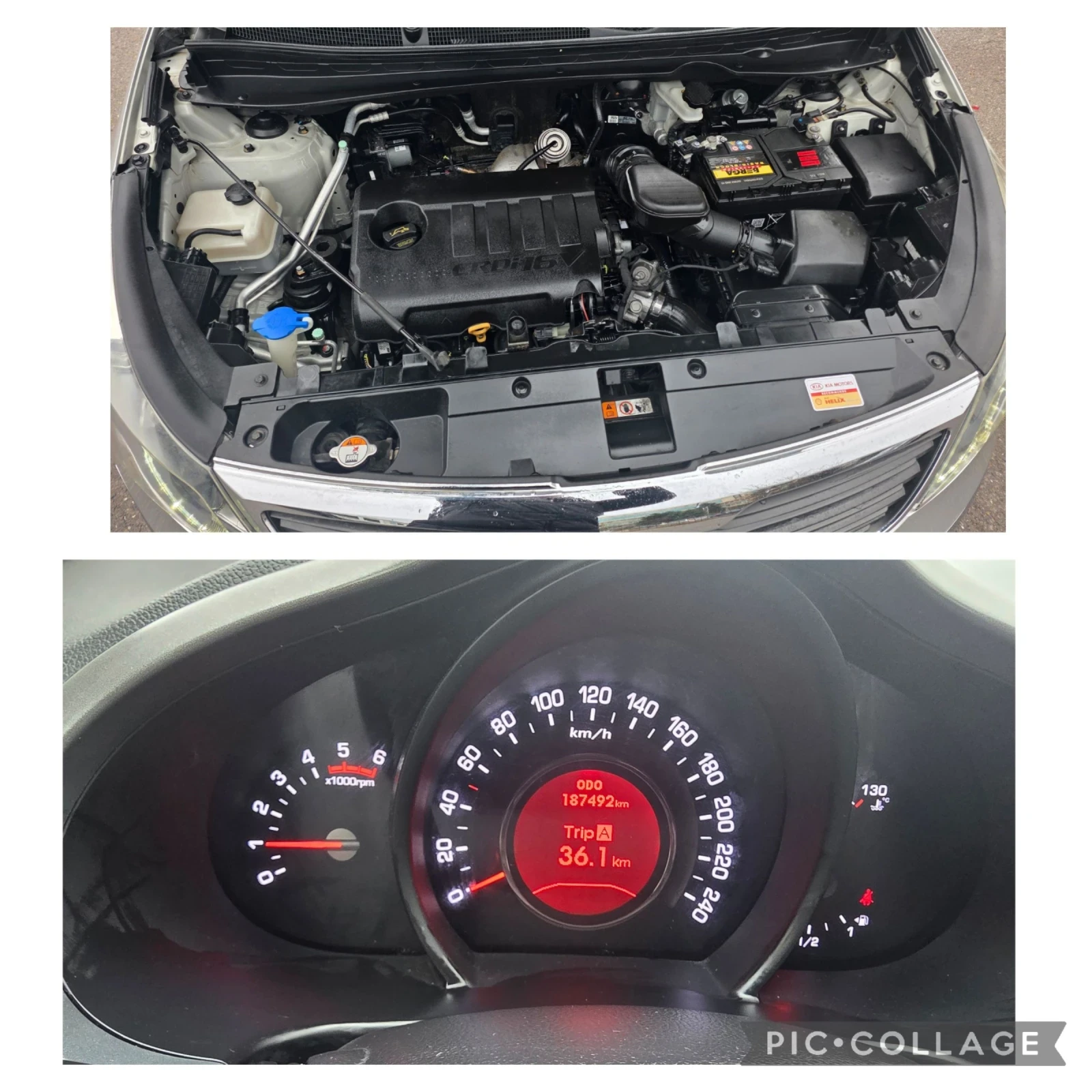 Kia Sportage 1, 7crdi , ,   | Mobile.bg   16