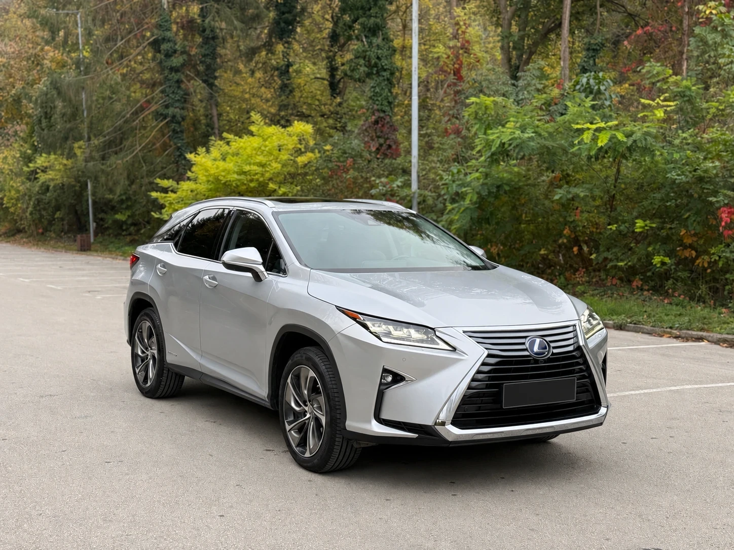 Lexus RX 450h Luxury 90 000km