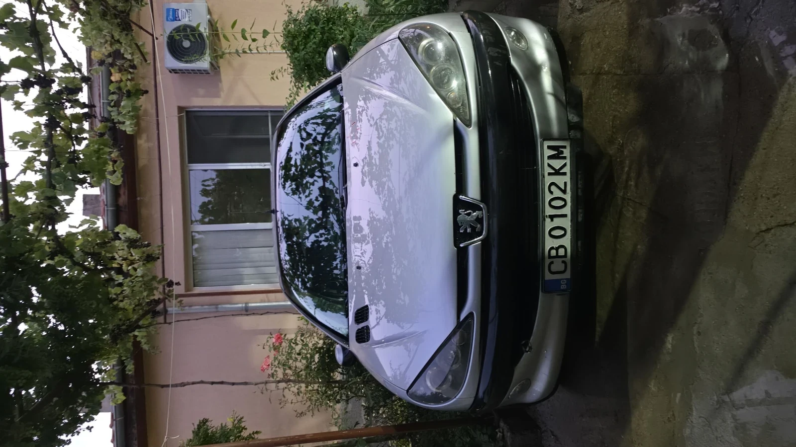 Peugeot 206