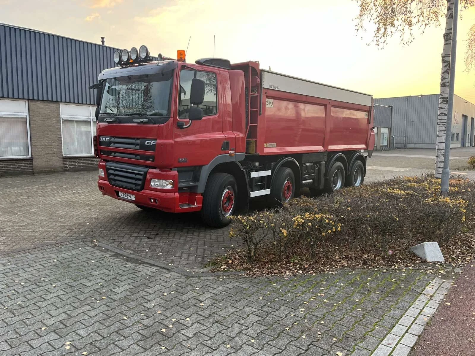 Daf CF