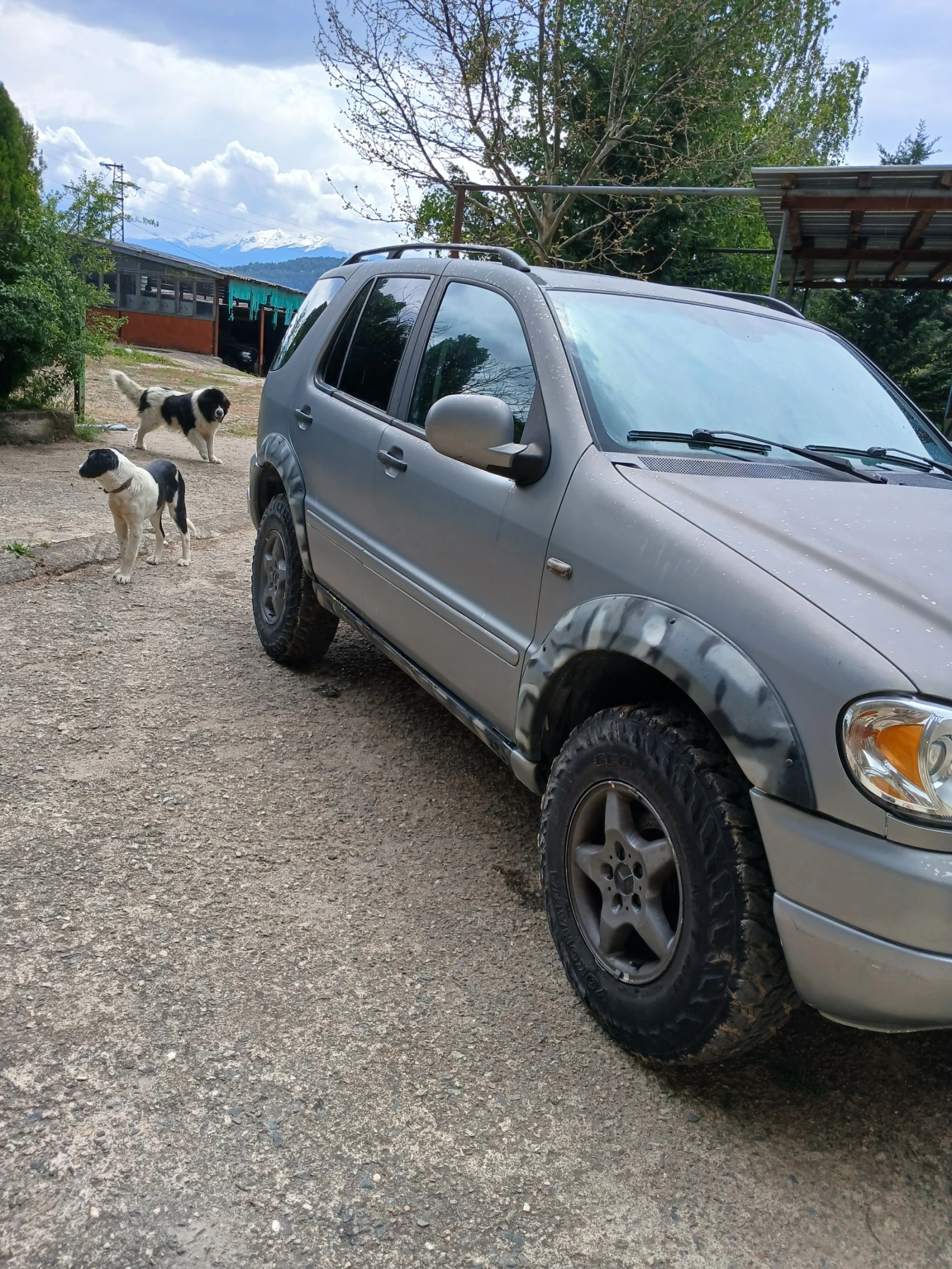 Mercedes-Benz ML 320 | Mobile.bg � ����������� 2