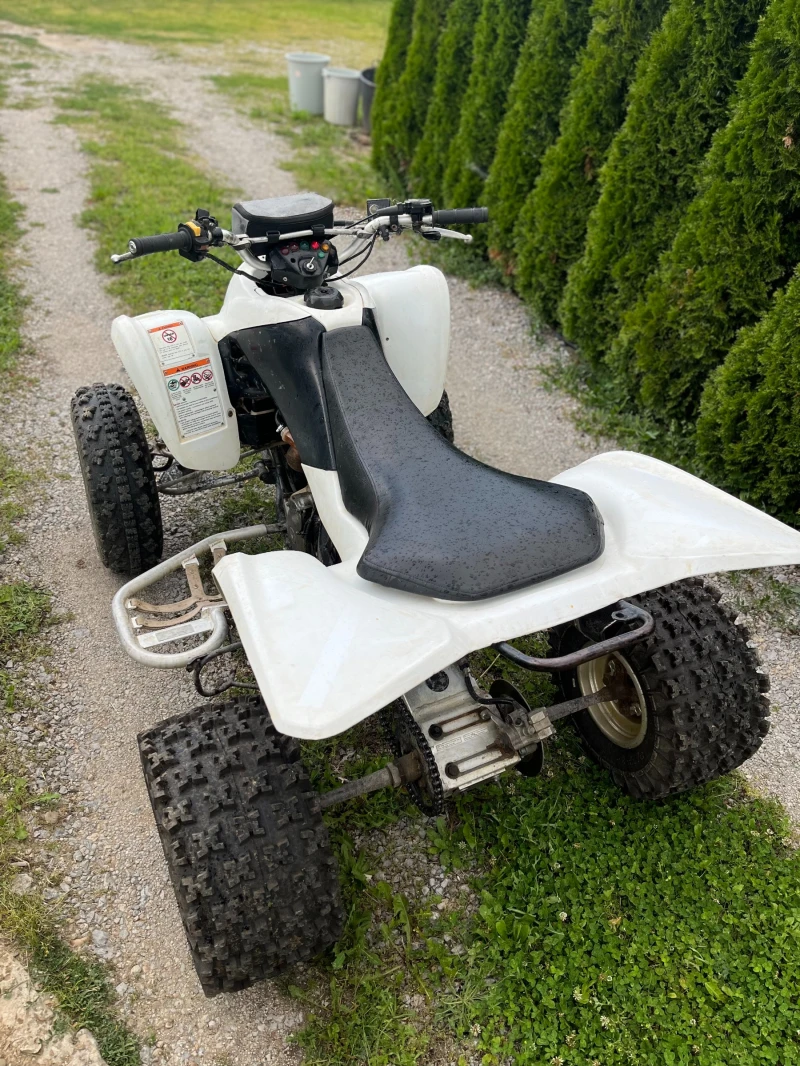 Suzuki QuadRacer LTZ 400, снимка 5 - Мотоциклети и мототехника - 48098891