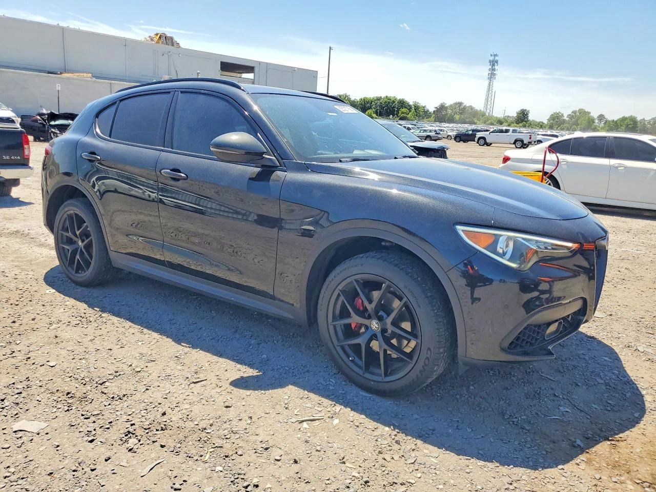 Alfa Romeo Stelvio 2.0l, снимка 4 - Автомобили и джипове - 54881965