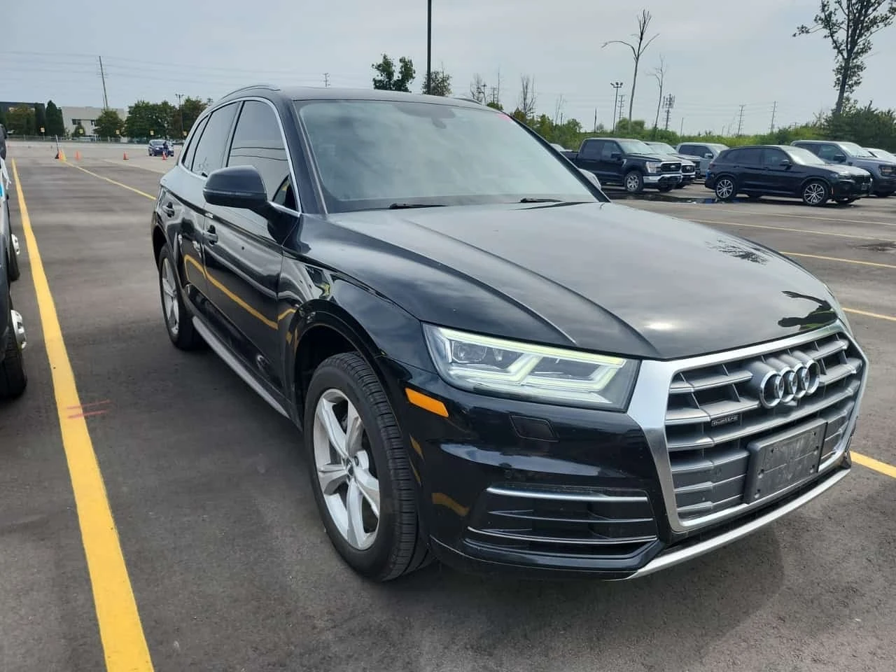 Audi Q5 * PROGRESSIV * CARFAX * , снимка 2 - Автомобили и джипове - 55784639