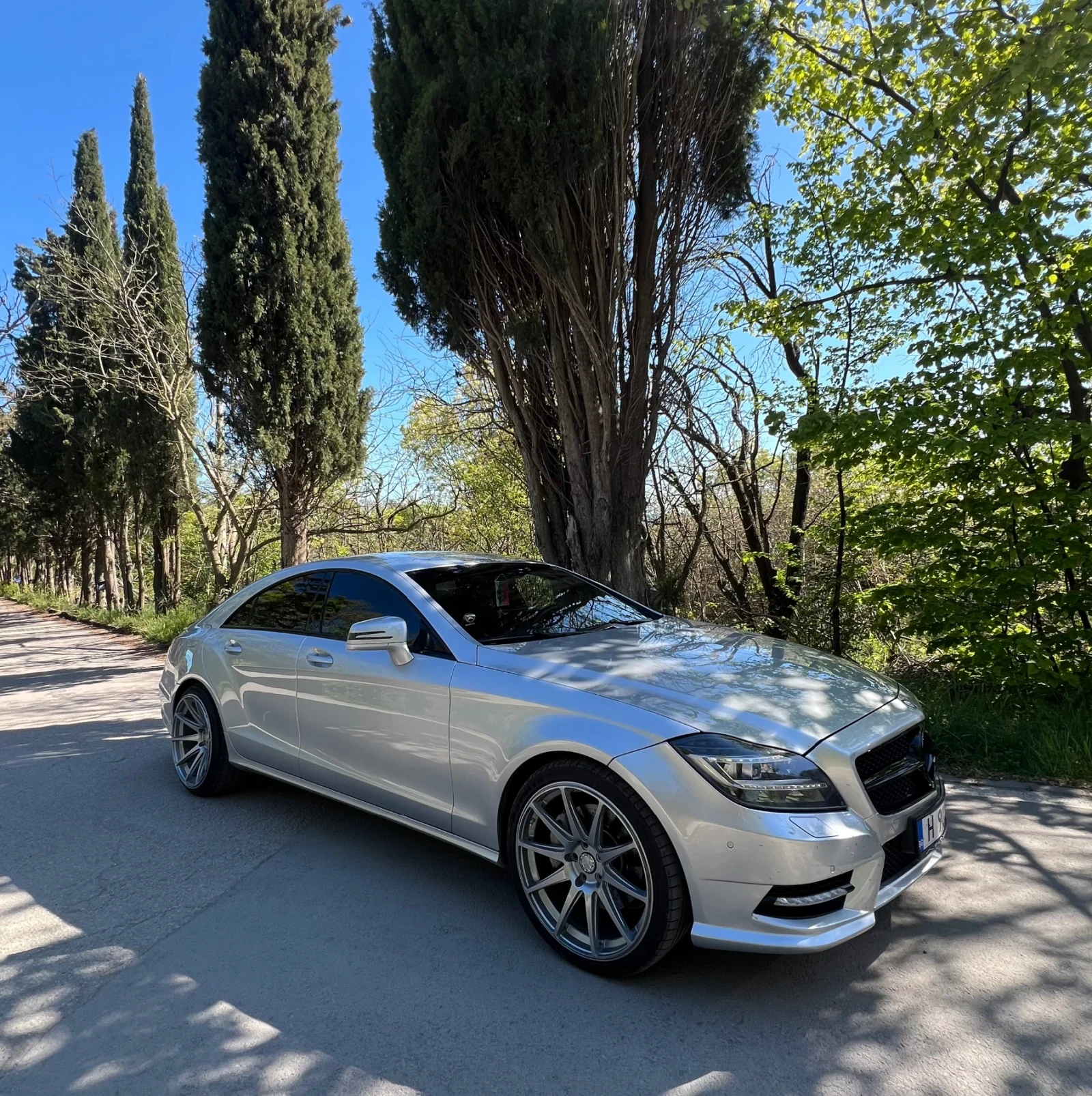 Mercedes-Benz CLS 350 Mercedes CLS 350 AMG | ЗАДНО| ПРУЖИНИ| 