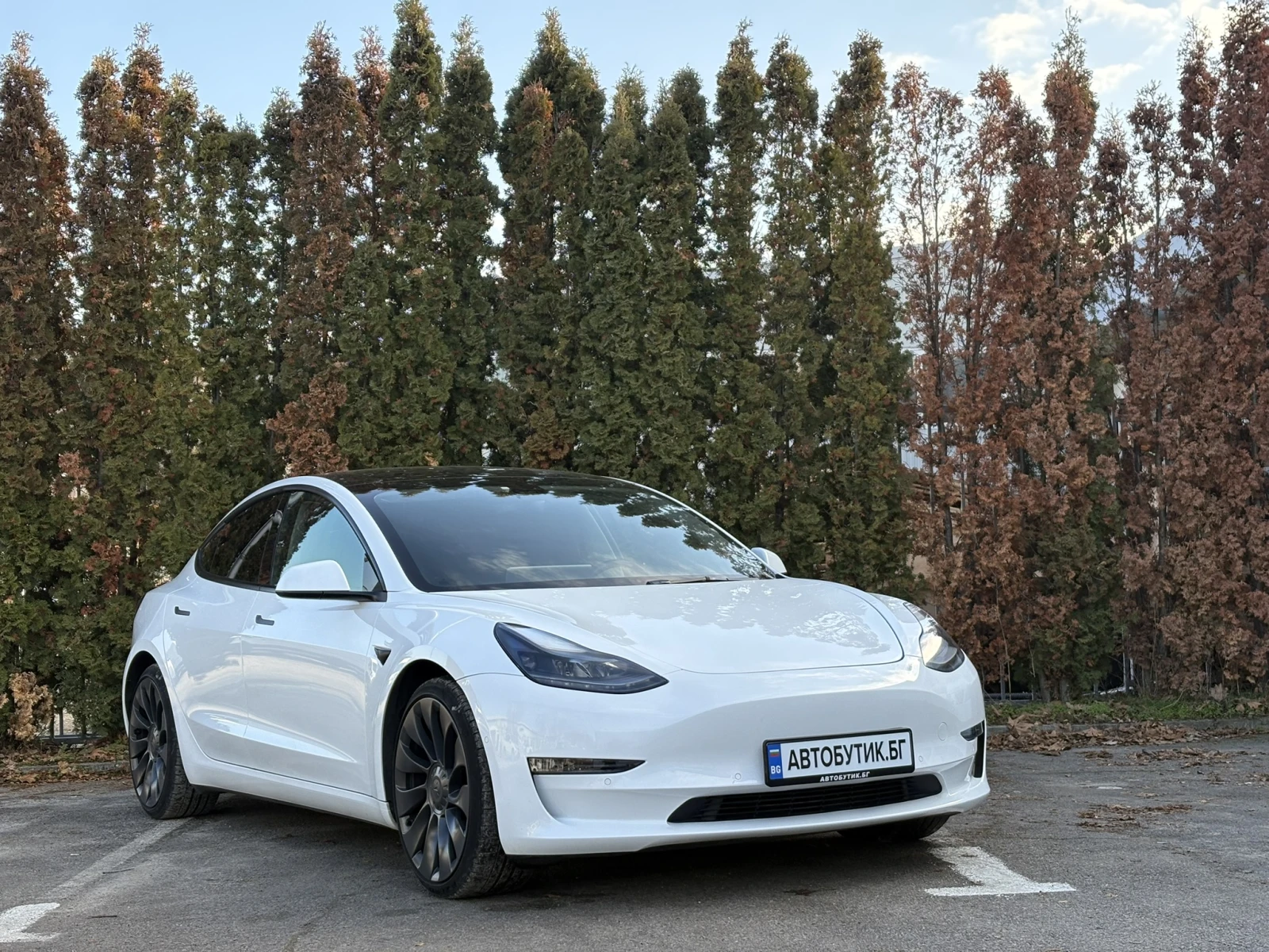 Tesla Model 3 Long Range AWD PERFORMANCE | Mobile.bg � ����������� 1