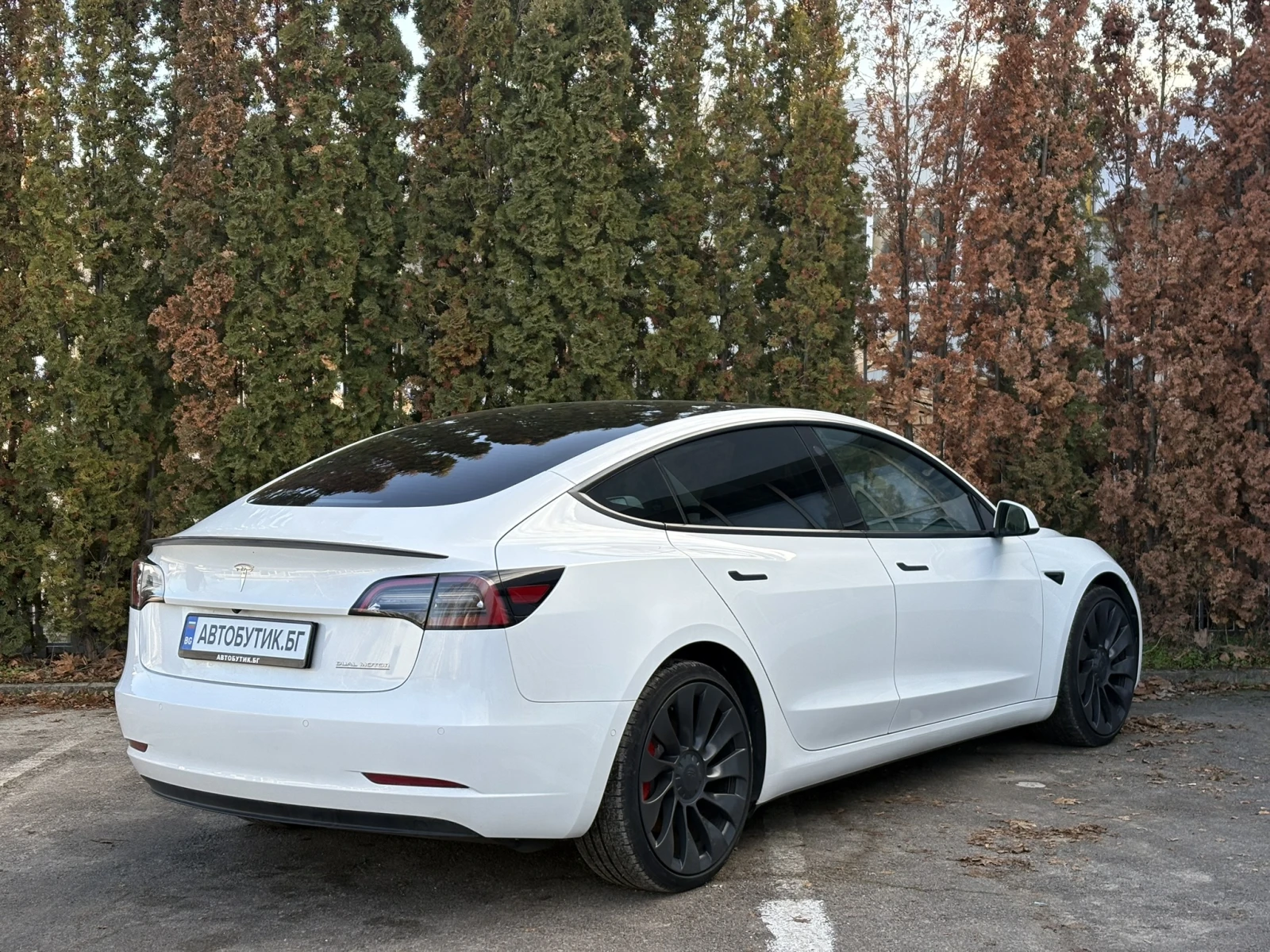 Tesla Model 3 Long Range AWD PERFORMANCE - изображение 4