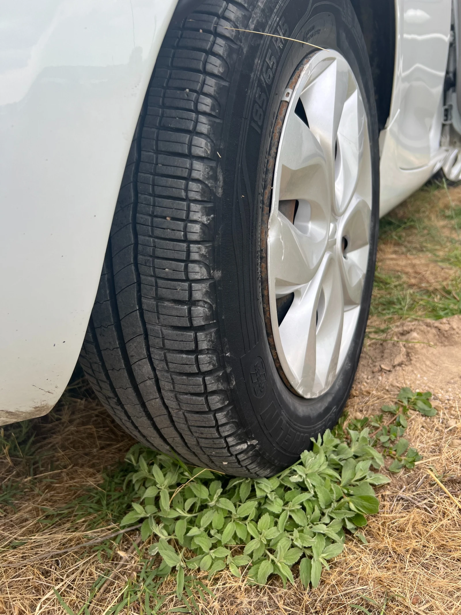 Renault Zoe, снимка 8 - Автомобили и джипове - 55217534
