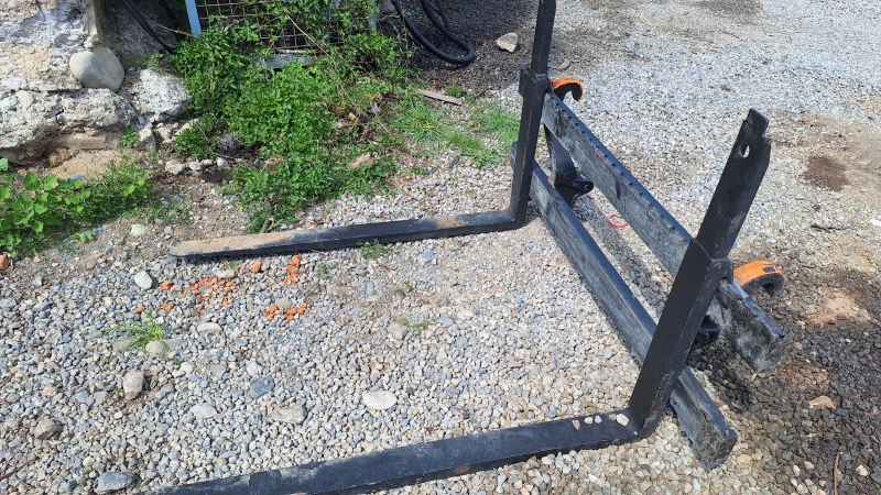 Друг вид Внос