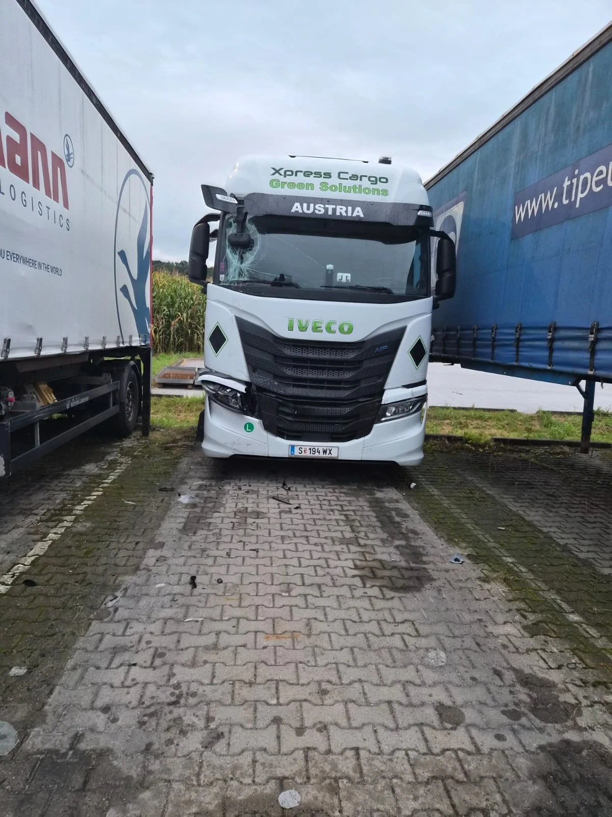 Iveco S-Way 460 - изображение 2