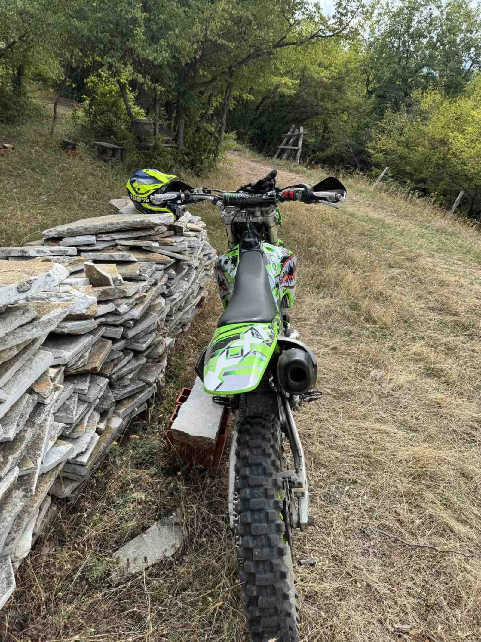 Kawasaki Kfx  - изображение 8