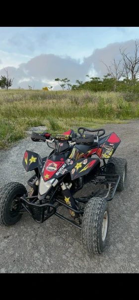  Suzuki QuadRacer