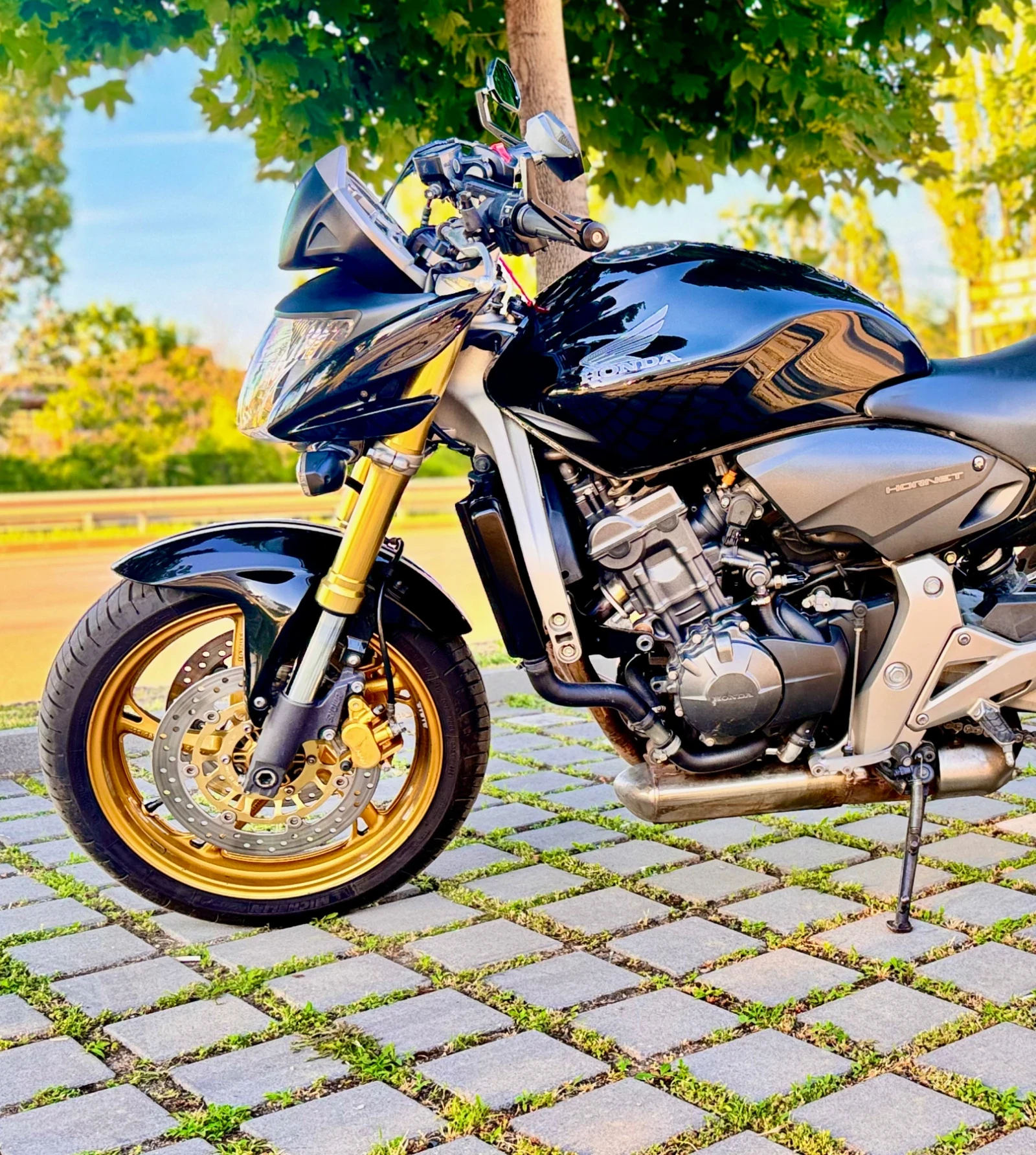 Honda Hornet, снимка 4 - Мотоциклети и мототехника - 54934173