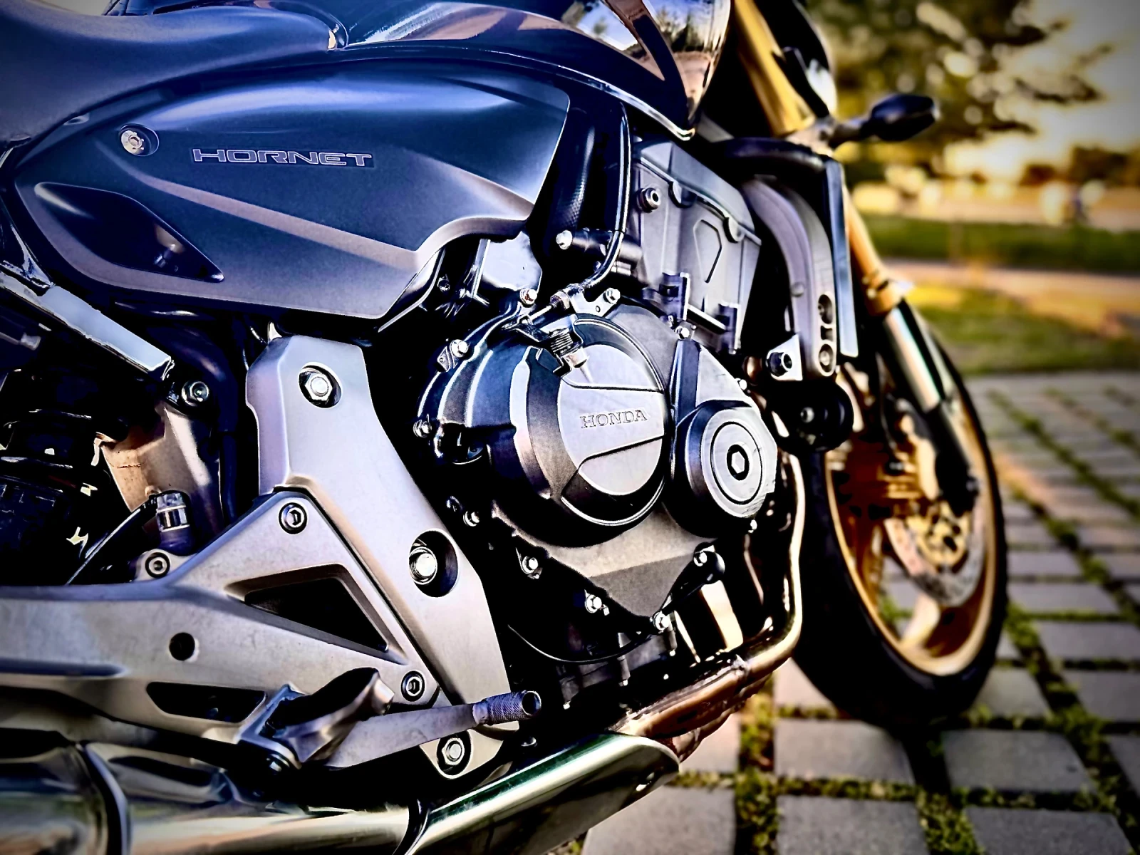 Honda Hornet, снимка 10 - Мотоциклети и мототехника - 54934173